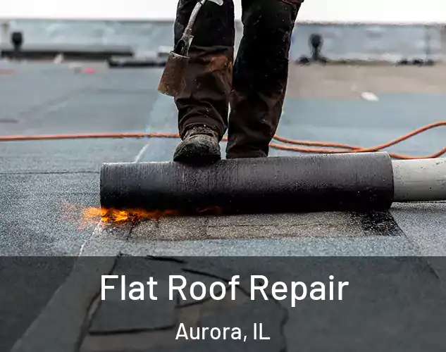  Flat Roof Repair Aurora, IL