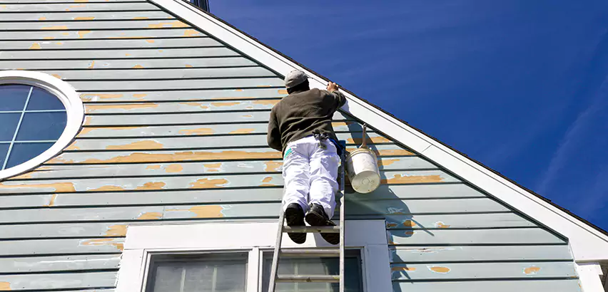 Professional Roof and Siding Repair Services in Aurora, IL
