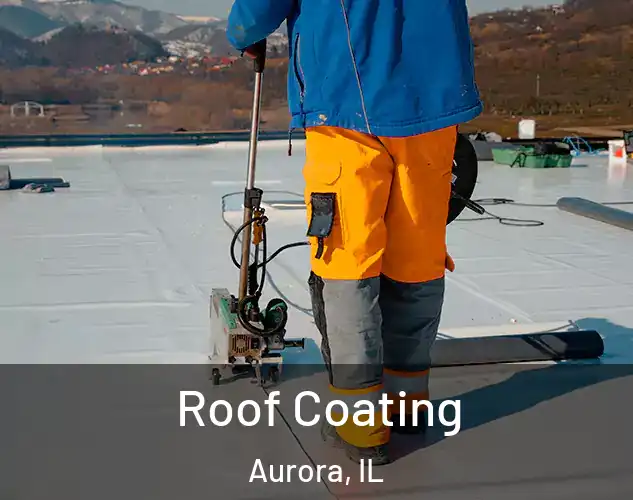  Roof Coating Aurora, IL