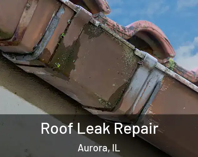  Roof Leak Repair Aurora, IL