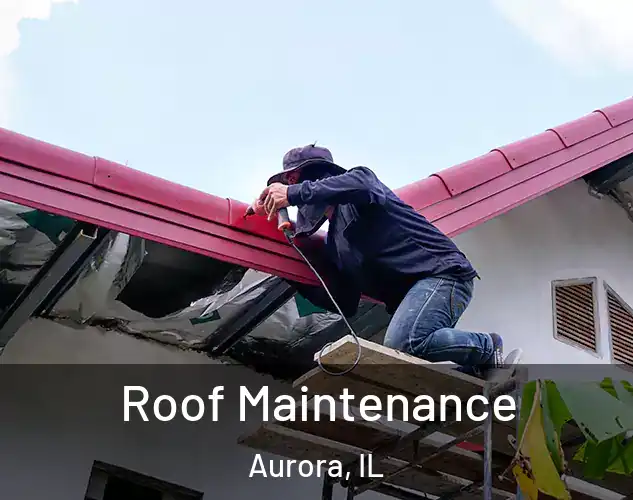  Roof Maintenance Aurora, IL