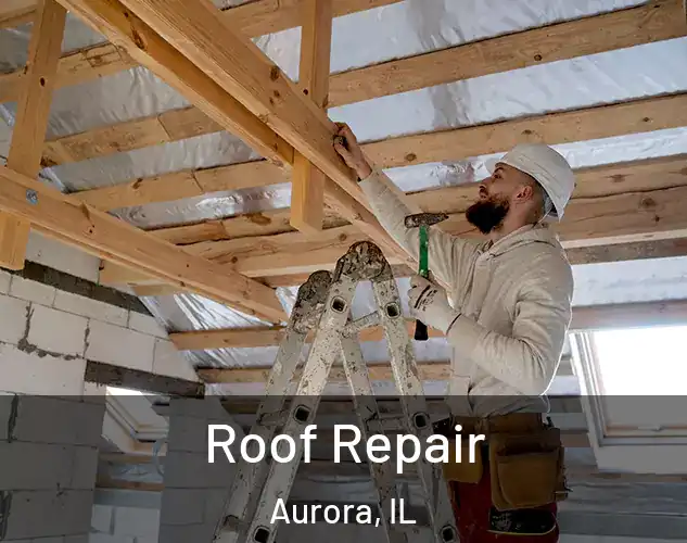  Roof Repair Aurora, IL